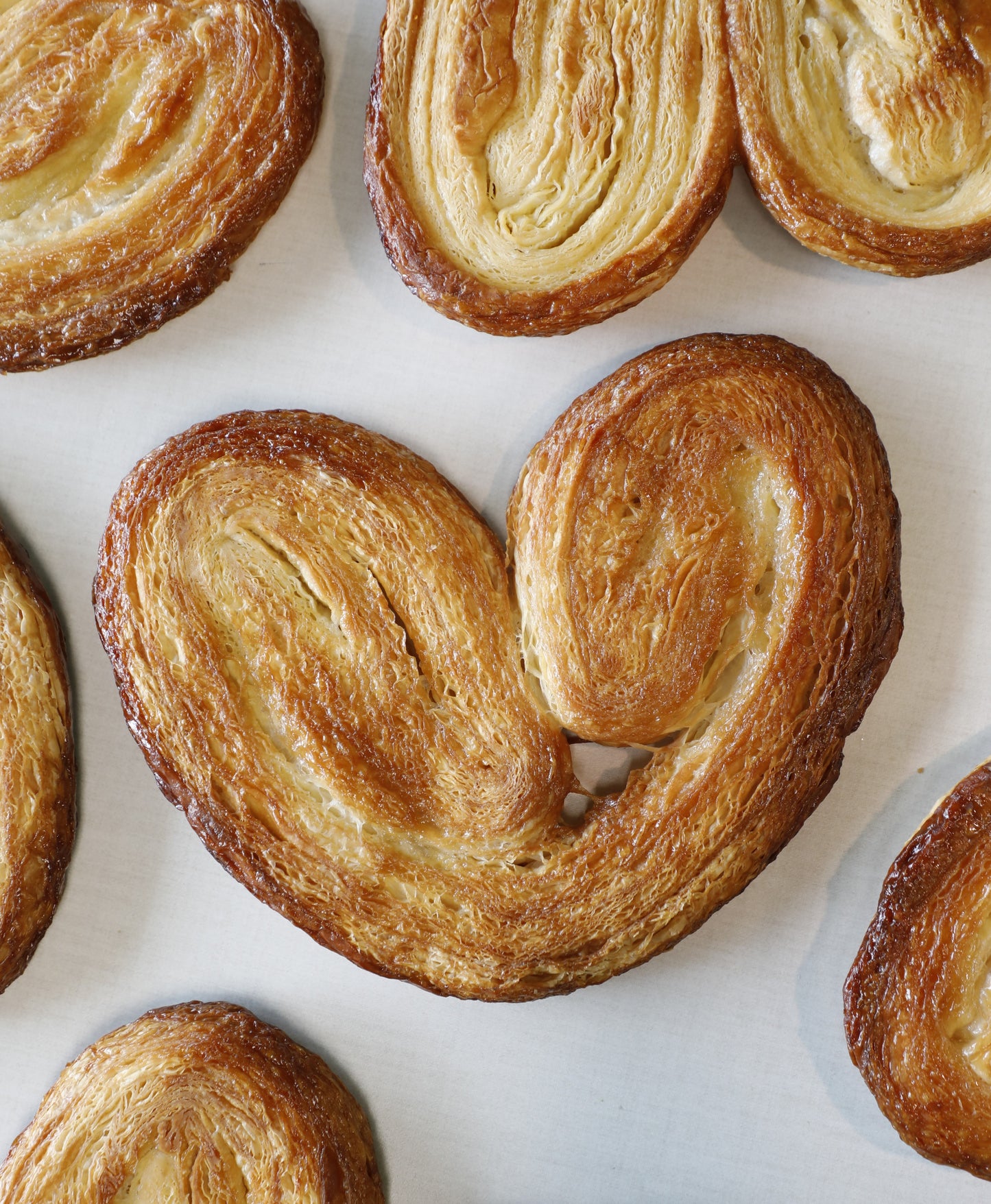 Palmier