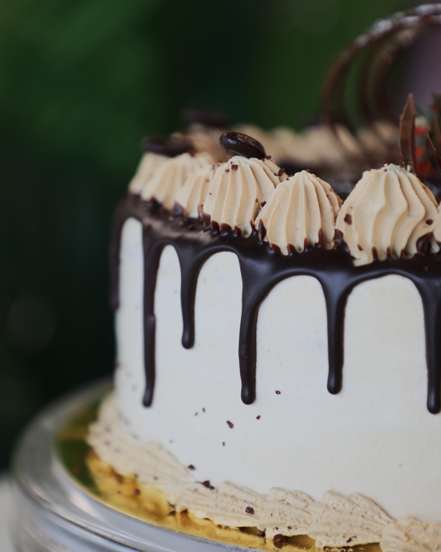 Entremets Café