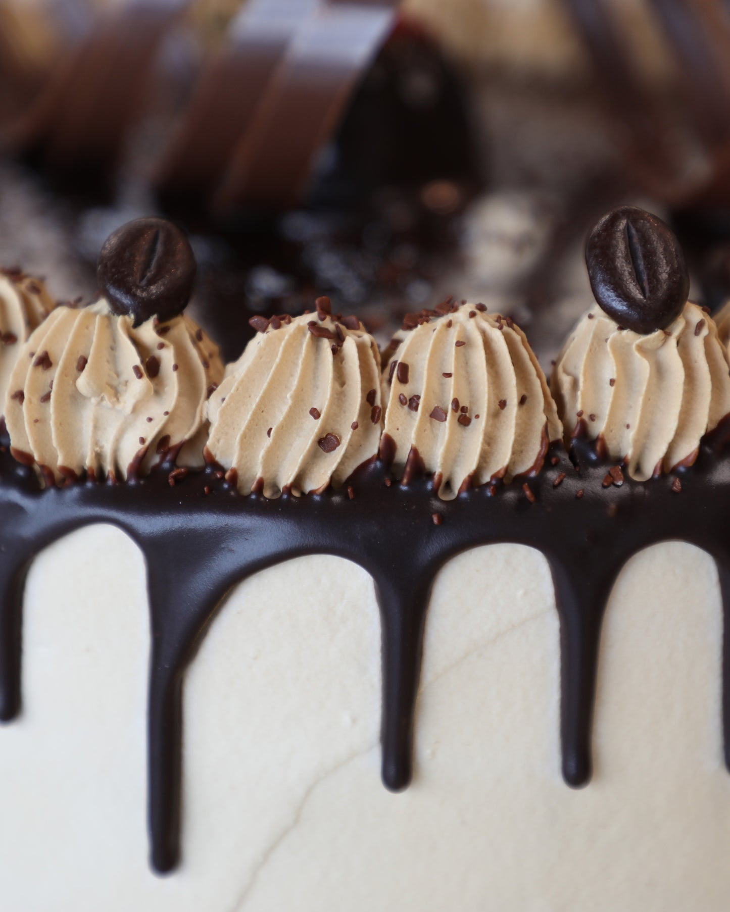 Entremets Café