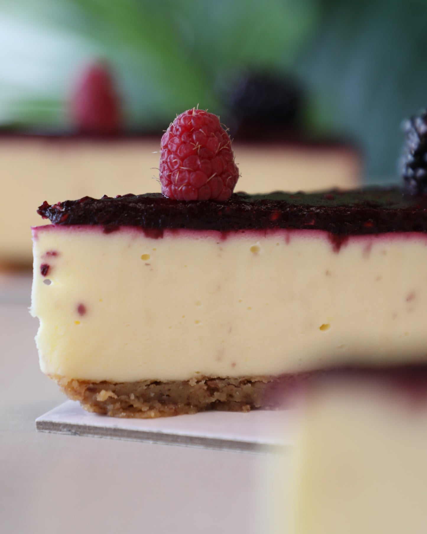 Gâteaux au fromage - Framboise