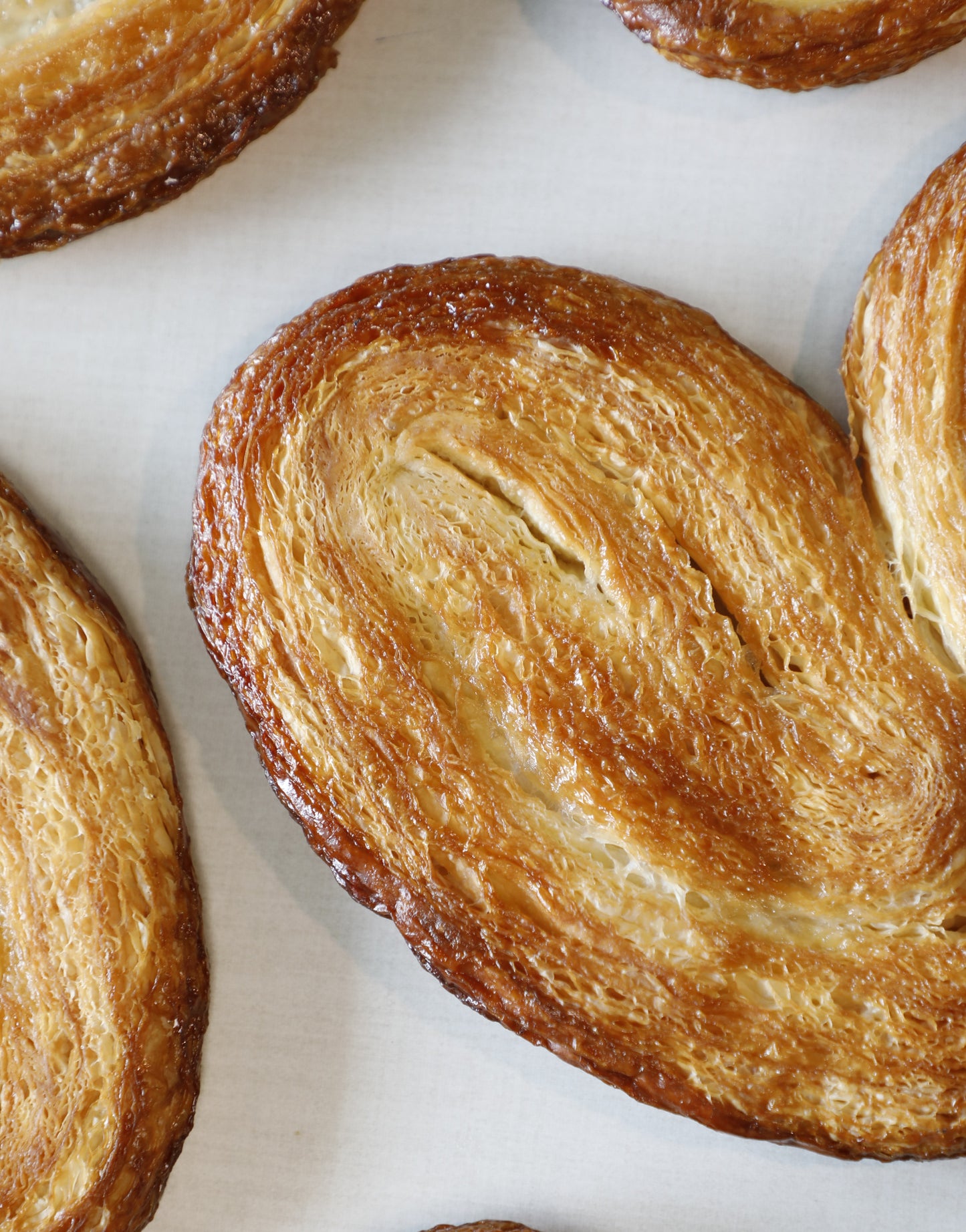 Palmier